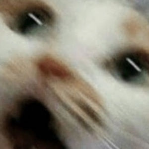 Meet your Posher, Adrian